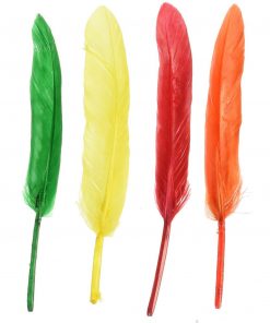Assorted Colour Quill Feathers