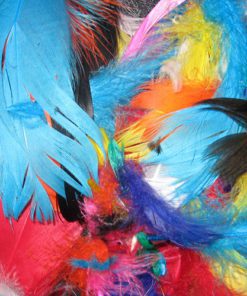* Assorted Colour Feathers