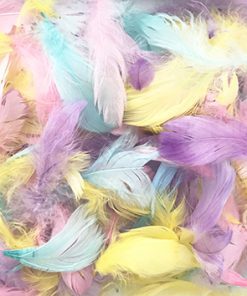 Assorted Pastel Colour Feathers