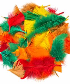 Assorted Autumn Colour Feathers