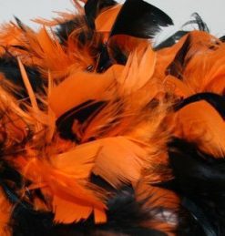 Plumes Couleurs Assorties Halloween