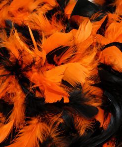Assorted Halloween Colour Feathers