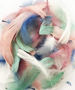 Assorted Colour Fluffy Feathers