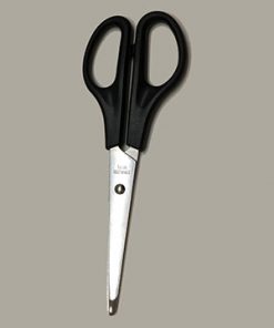 6" Student Scissors
